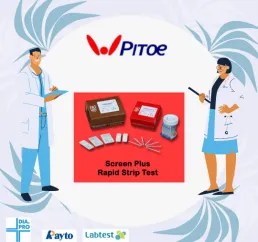 Rapid Test Strip