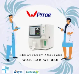 WP360